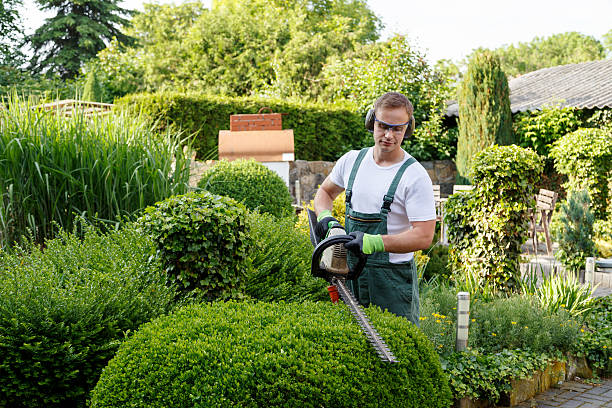 Peebles, OH Tree Services Company